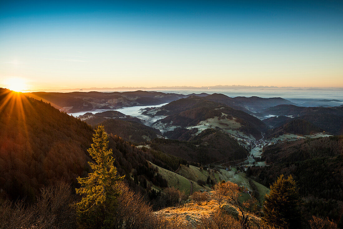 View from the Belchen south on the Wiesental valley and the Swiss Alps, morning atmosphere with fog, Belchen, Black Forest, Baden-Württemberg, Germany