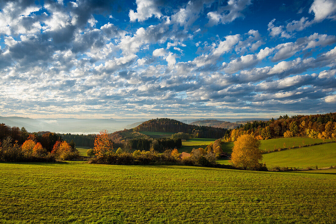 Blick vom Haldenhof auf den Überlinger See bei Sipplingen im Herbst, Sonnenuntergang, Überlingen, Bodensee, Baden-Württemberg, Deutschland