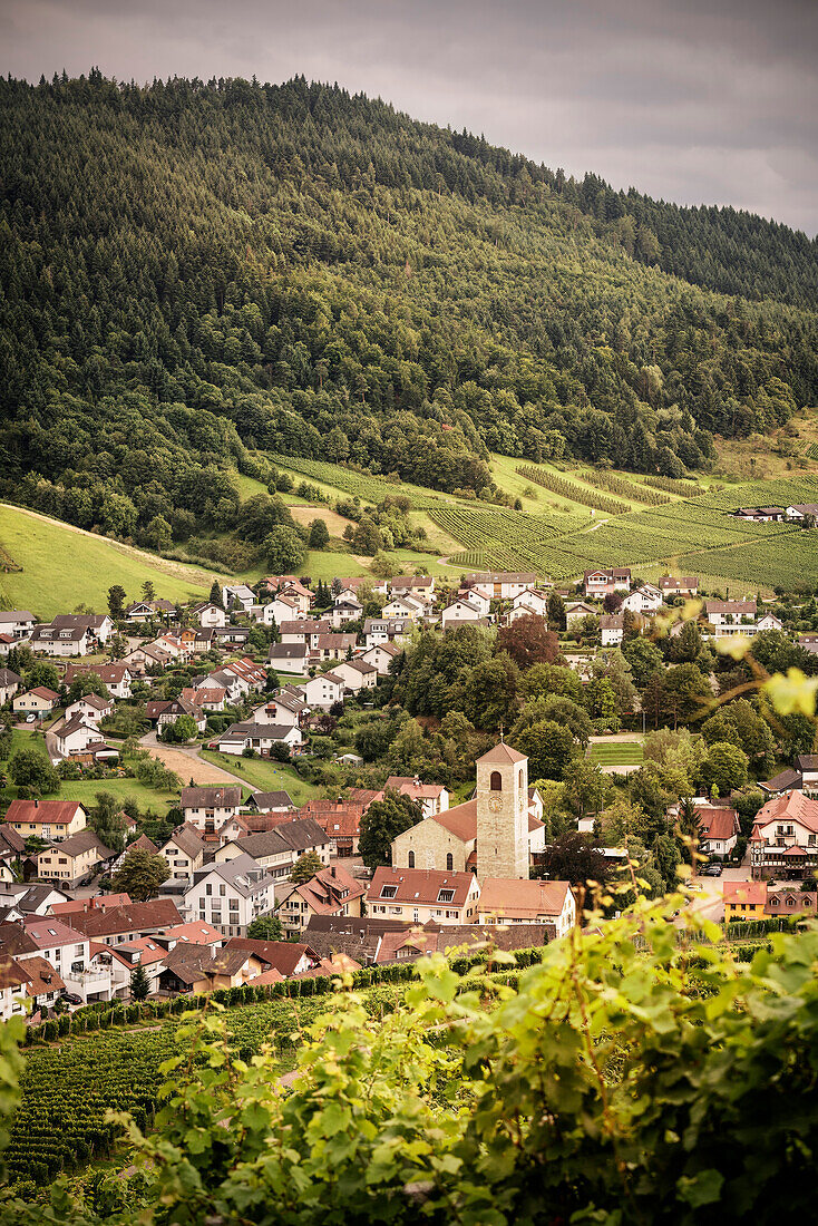 view across grapevines at village Neuweier around YBurg castle, Baden-Baden, Baden-Wuerttemberg, Germany