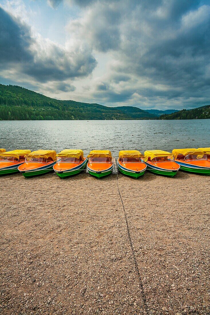 Lake Titisee. Titisee. Titisee-Neustadt. Black Forest. Baden Wurttemberg. Germany. Europe