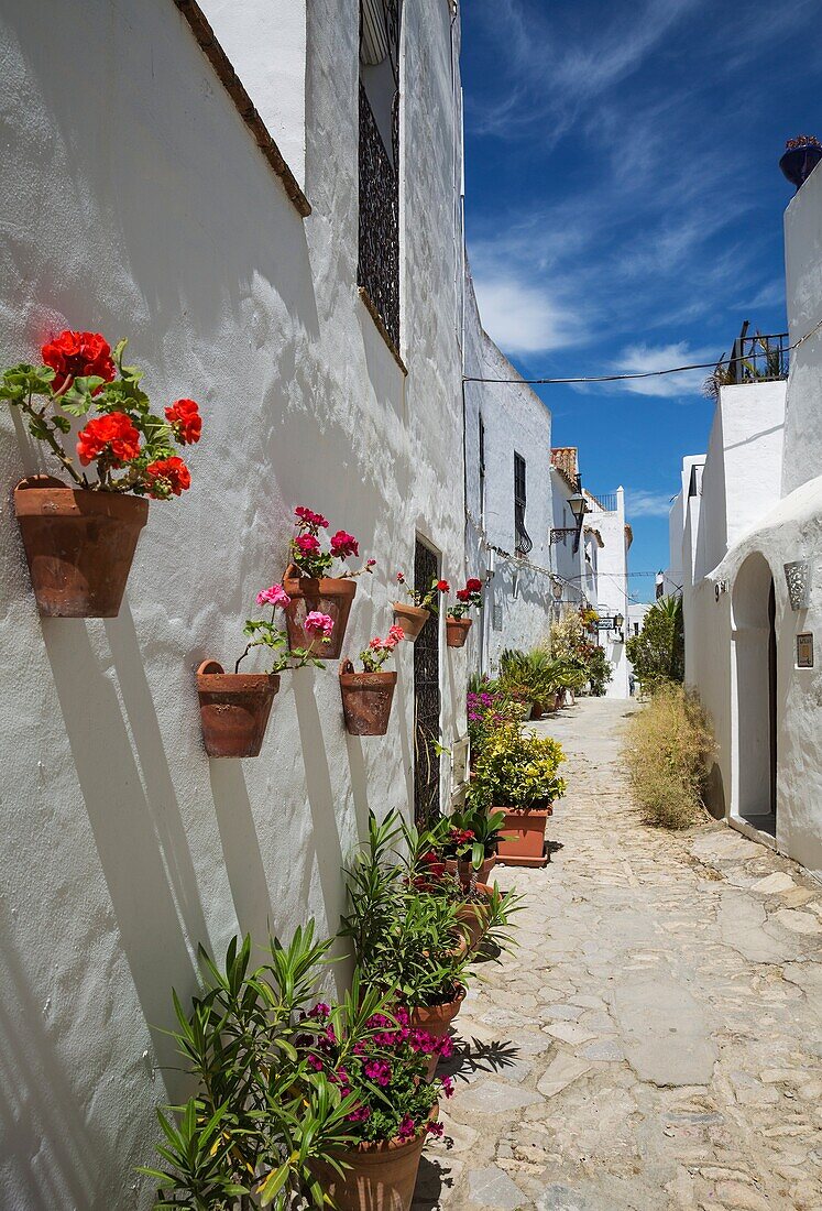 Beautiful alleyway with flowerpots and brillianty whitewashed houses in the hilltop town of Vejer de la Frontera. Cadiz province, Andalusia, Spain.