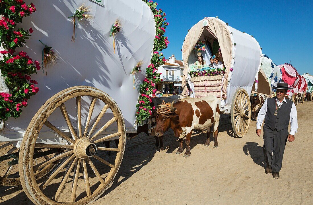 During a famous Pentecost pilgrimage the village of El Rocio converts into a colourful spectacle with beautifully decorated ox-carts, dressed up men and women wearing beautifully coloured gypsy dresses. Huelva province, Andalusia, Spain.