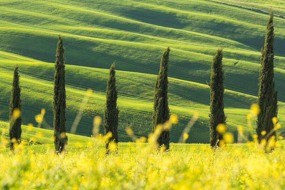 San Quirico d'Orcia,Val d'Orcia,Tuscany,Italy.