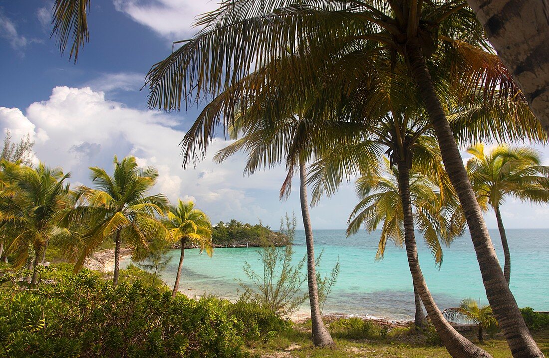 Oleander Gardens public beach, Eleuthera island, Bahamas..