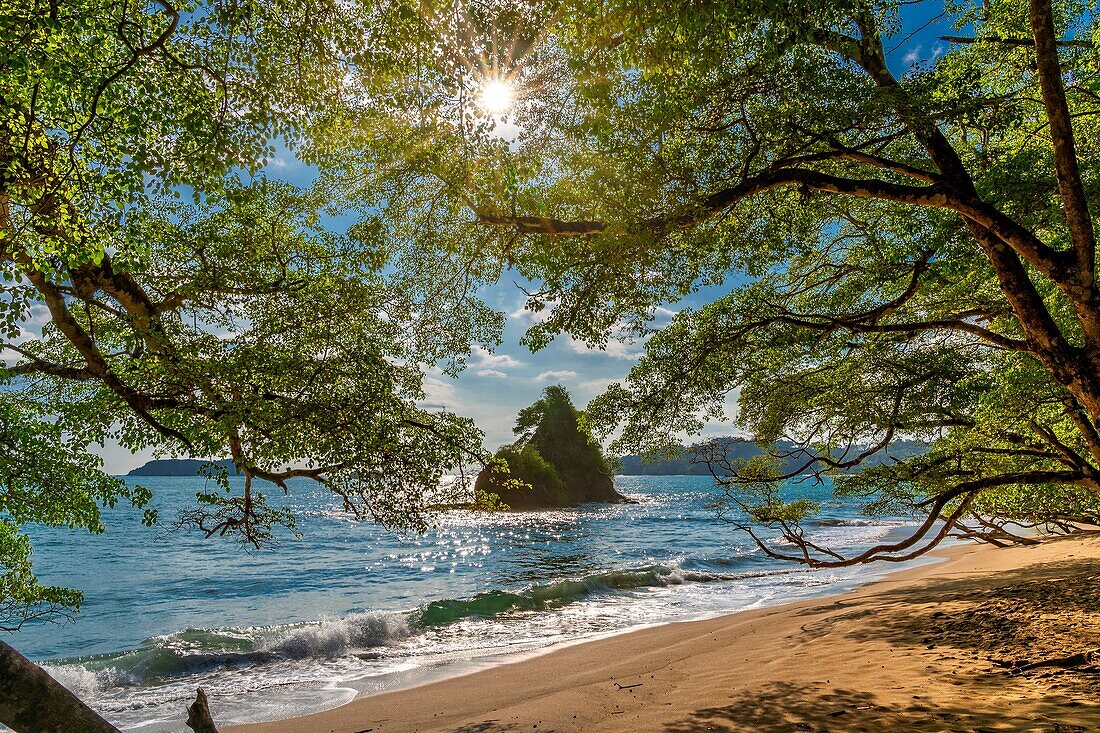 Beach, Corcovado National Park, Osa Peninsula, Costa Rica.