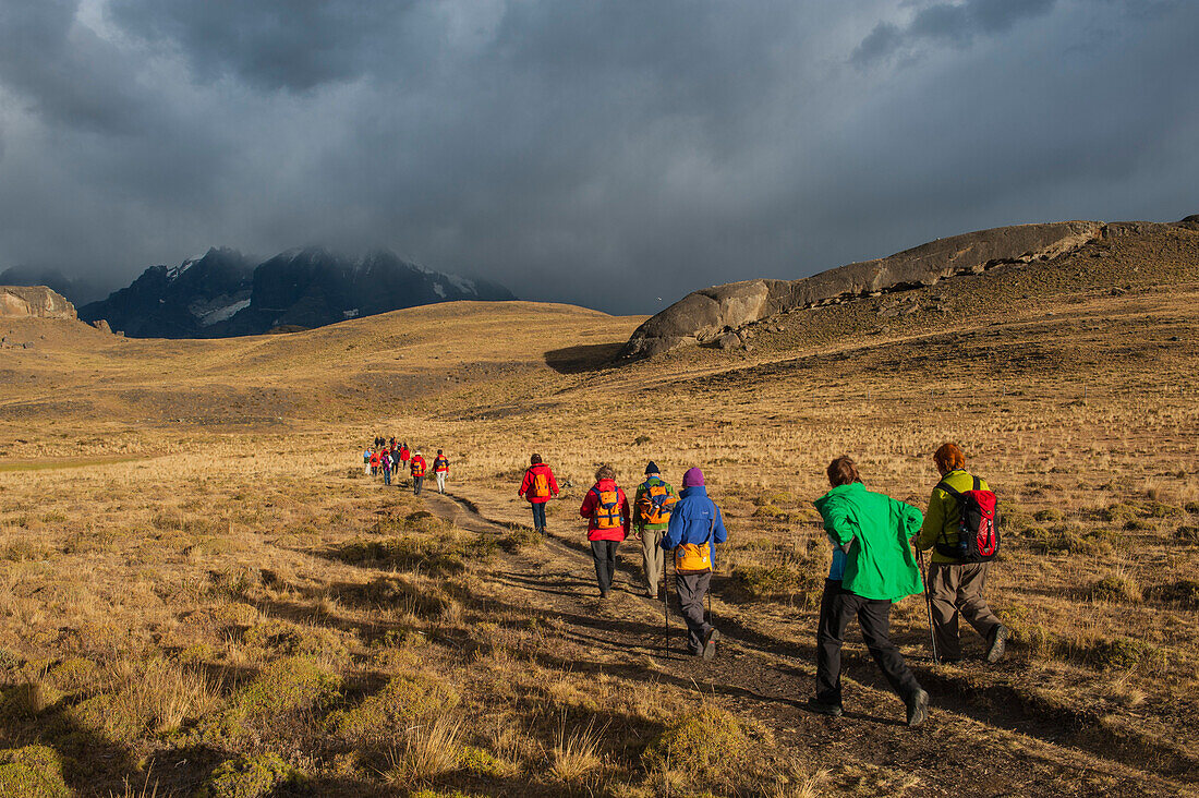 Besucher wandern im frühen Morgenlicht über die sanften Hügel, Nationalpark Torres del Paine, Magallanes y de la Antartica Chilena, Patagonien, Chile, Südamerika