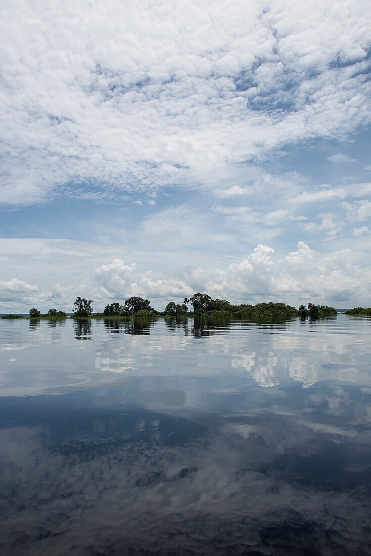Auf einem Seitenarm des Rio Negro spiegeln die Gewässer Bäume und den bewölkten Himmel wider, nahe Manaus, Amazonas, Brasilien, Südamerika