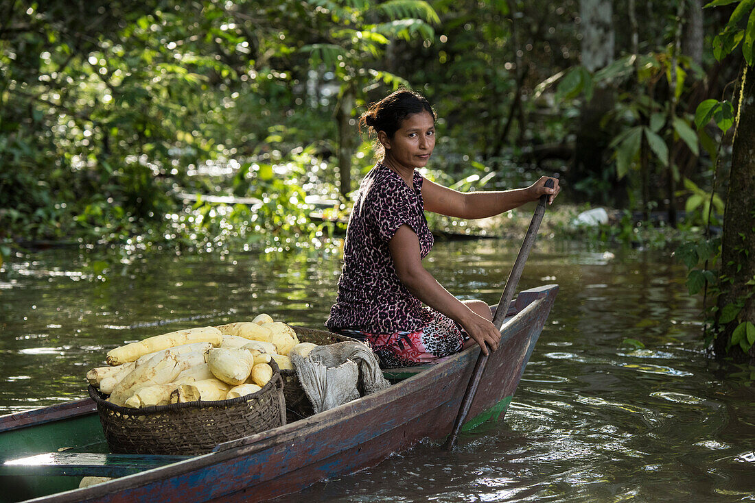 Eine junge Frau paddelt ein Kanu mit einem Korb frisch geschälten Manioks am Seitenarm des Amazonas, Uara, Amazonas, Brasilien, Südamerika