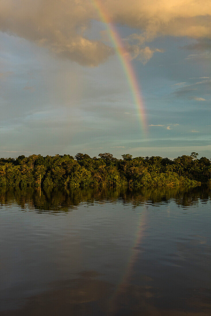 Über dem Ufer des Amazonas bildet sich ein Regenbogen, Jutai, Amazonas, Brasilien, Südamerika