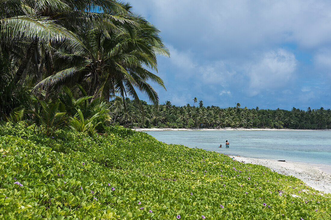 Zwei Frauen schwimmen im klaren Wasser einer tropischen von Palmen bedeckten Insel, Ulul Island, Chuuk, Föderierte Staaten von Mikronesien, Südpazifik