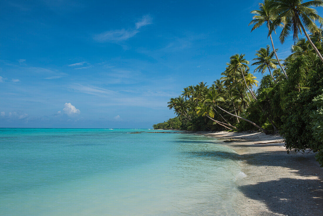 Küstenansicht einer paradiesischen mit Palmen bedeckter Insel, Bock Island, Ujae Atoll, Marshallinseln, Südpazifik