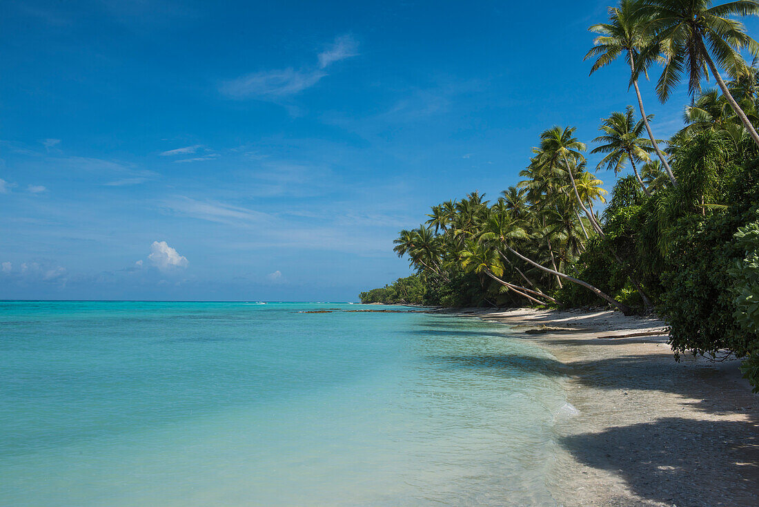 Shoreline view of a paradise-like island covered with palm trees, Bock Island, Ujae Atoll, Marshall Islands, South Pacific