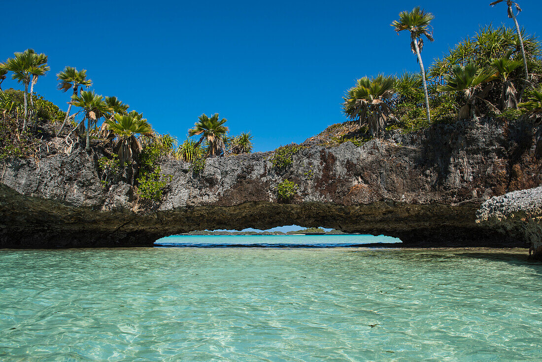 A low stone arch over turquoise water and covered by trees and plants connects two segments of an island, Fulaga Island, Lau Group, Fiji, South Pacific