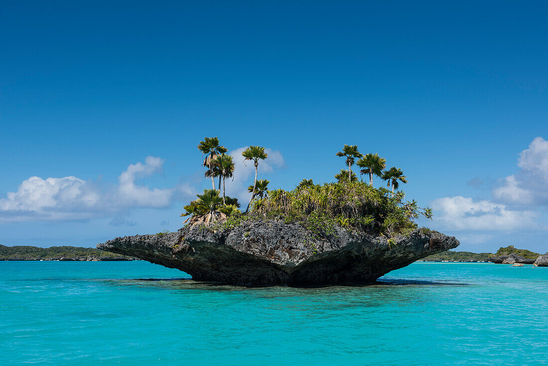 A small triangle-shaped 'mushroom-island' covered with palm trees and bushes stands off a large island in the background, Fulaga Island, Lau Group, Fiji, South Pacific