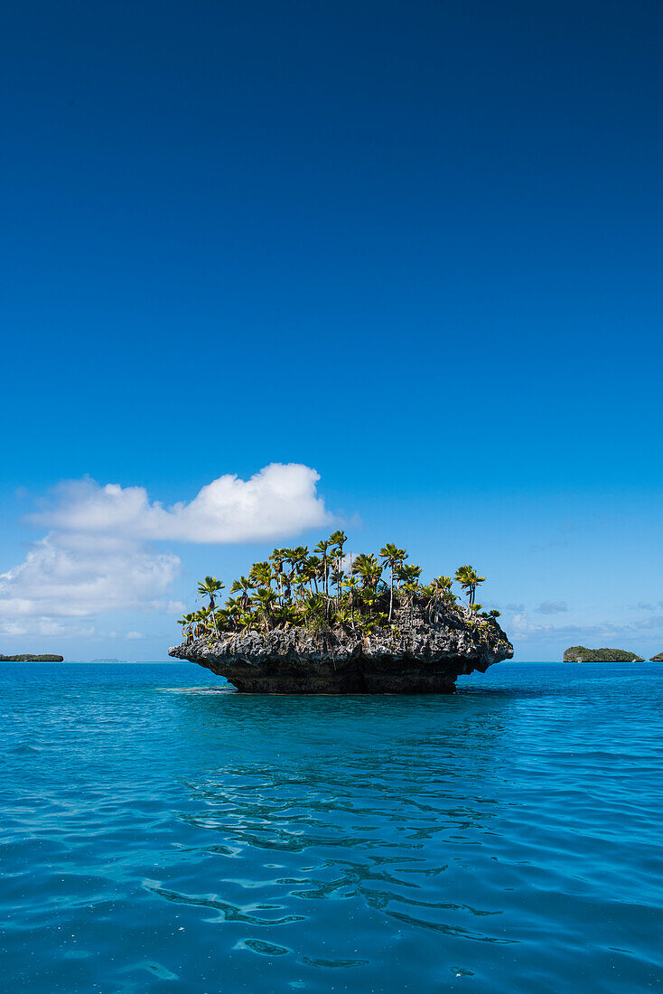 Eine kleine, pilzförmige Insel mit Palmen und Büschen liegt im türkisfarbenen Wasser, Fulaga Island, Lau Group, Fidschi, Südpazifik