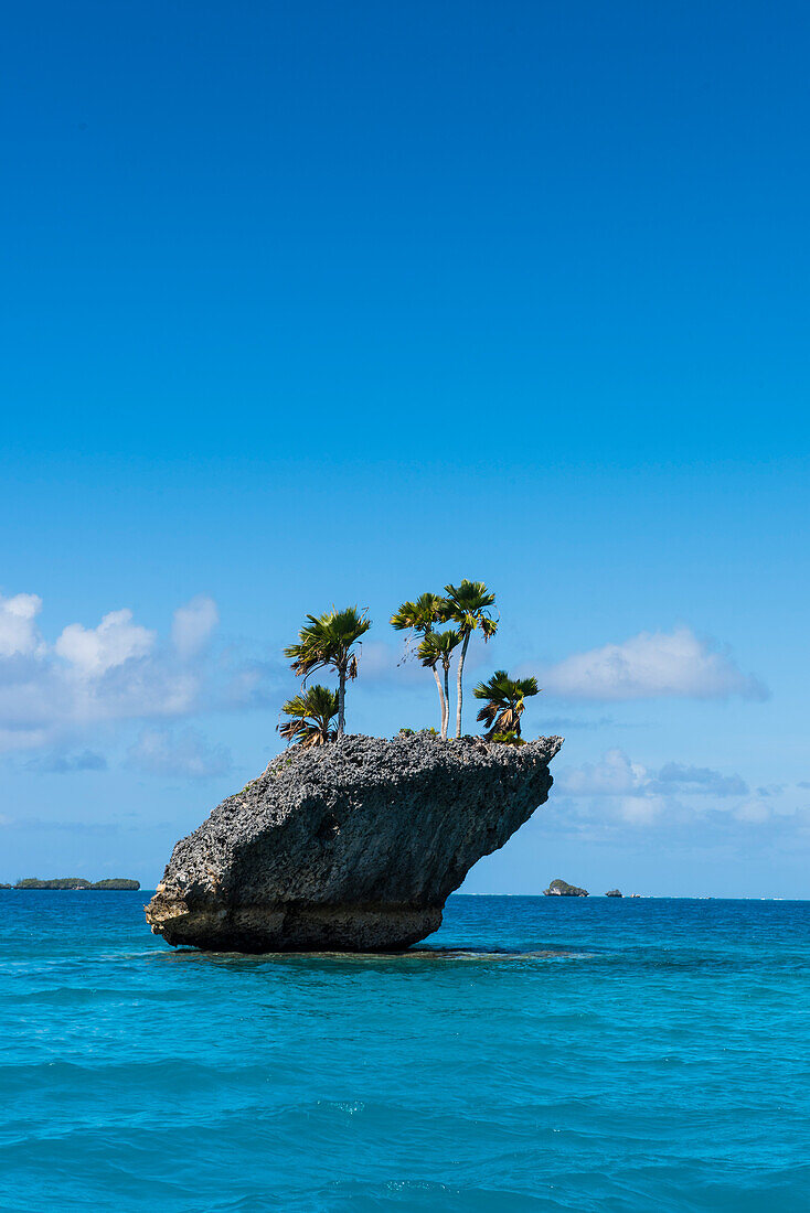Eine winzige, schroffe Insel, die von mehreren Palmen gekrönt wird, steht im türkisfarbenen Wasser mit mehreren kleinen Inseln im Hintergrund, Fulaga Island, Lau Group, Fidschi, Südpazifik