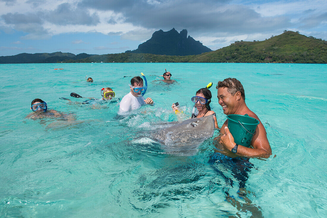 Tourists swim with and feed the stingrays (suborder Myliobatoidei, order Myliobatiformes) during a boat excursion in the lagoon, Bora Bora, Society Islands, French Polynesia, South Pacific