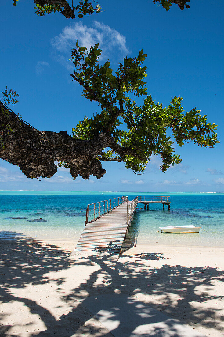 Blick von unter einem großen Baum auf einen mächtigen Ast, seinen Schatten auf dem Sand sowie einem Pier und ein kleines Ruderboot im türkisfarbenen Wasser, Huahine, Gesellschaftsinseln, Französisch-Polynesien, Südpazifik