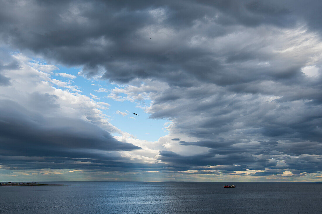 A ship makes way under a sky filled with oddly formed coulds, while a lone bird flies in front of an opening in the cloud-cover, Punta Arenas, Magallanes y de la Antartica Chilena, Patagonia, Chile, South America