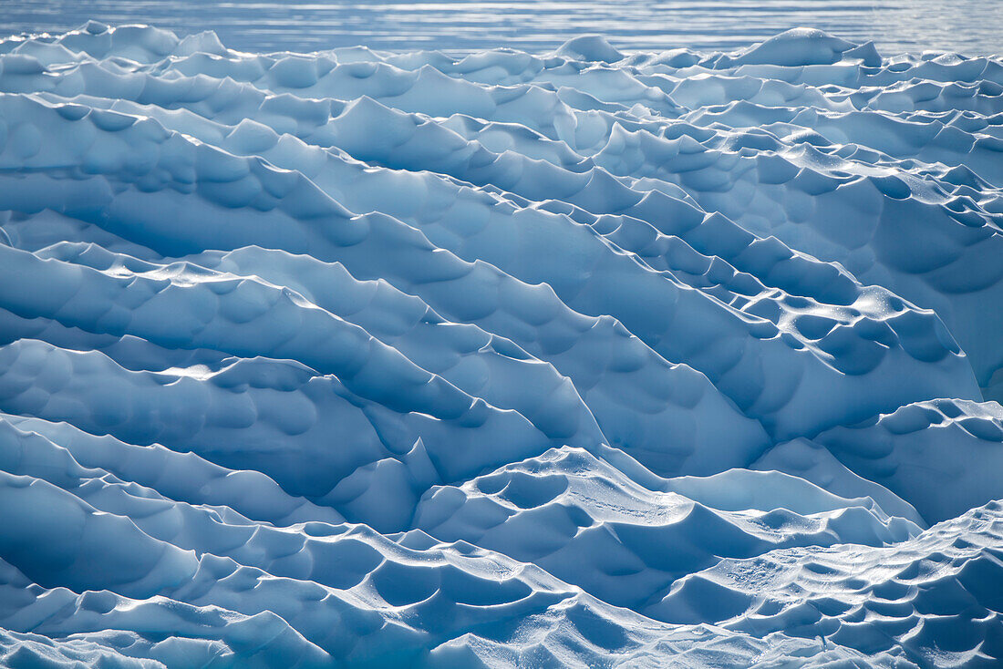 Gegenlicht hebt Kämme und Kräuselungen einer Eisscholle hervor, Wilhelmina Bay, Antarktische Halbinsel, Antarktis
