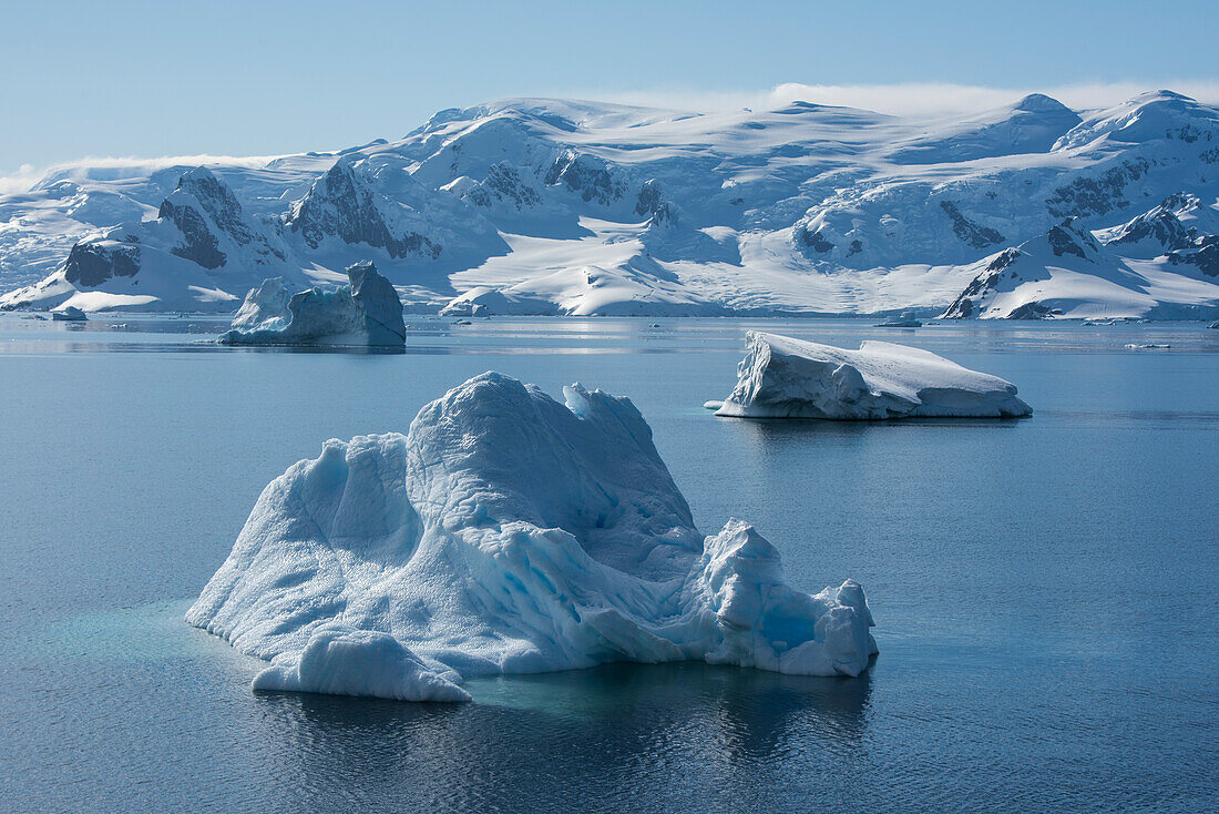 Eisberge treiben in der Bucht vor einem schneebedeckten Gebirgszug, Wilhelmina Bay, Antarktische Halbinsel, Antarktis
