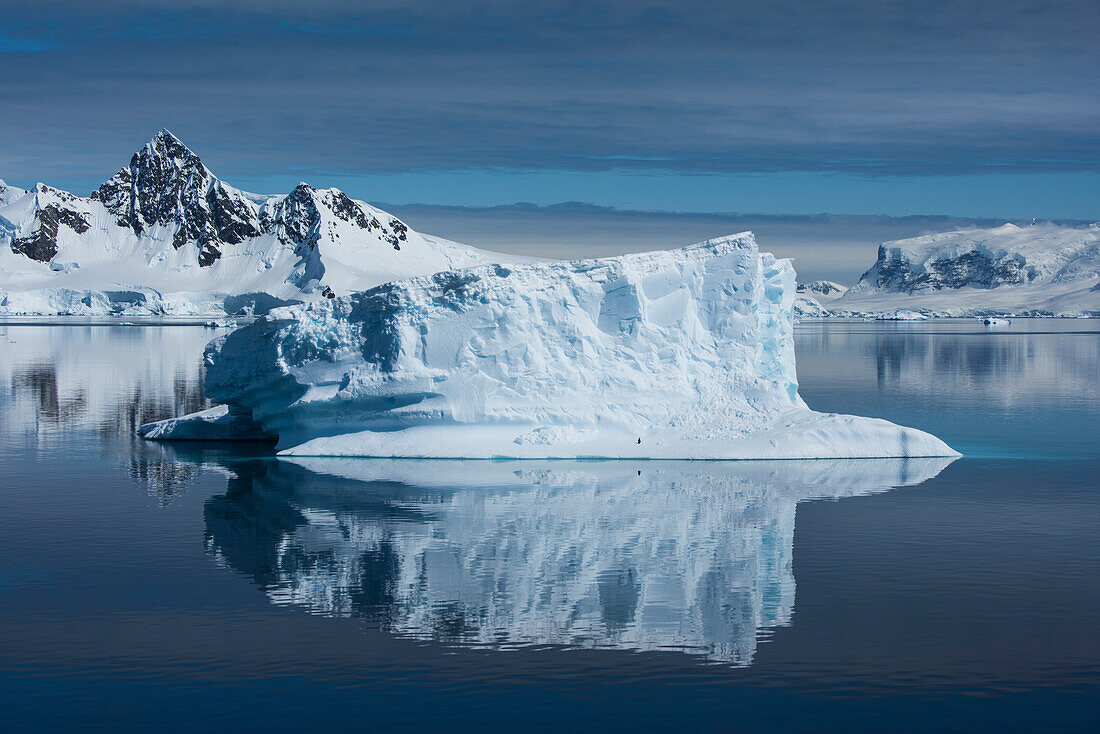 In einem seltenen, nahezu windstilligen Moment entsteht ein Spiegelbild aus einem großen Eisberg, der von einem einzelnen Zügelpinguin (Pygoscelis antarcticus) und umgebenden Bergen besetzt ist, Wilhelmina Bay, Antarktische Halbinsel, Antarktis