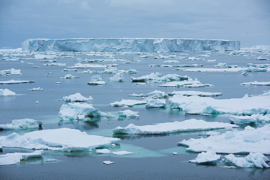 Ein großer Tafeleisberg ist von kleineren Eisstücken umgeben, in der Nähe von Laurie Island, Südliche Orkney-Inseln, Antarktis