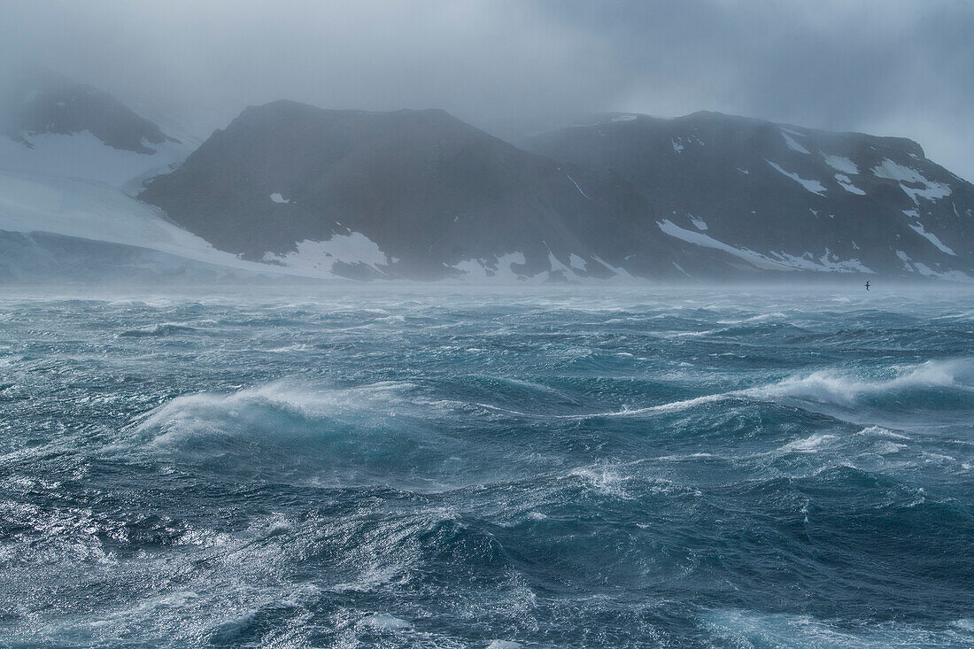 High winds, rough seas and a southern giant petrel (Macronectes giganteus) in flight (far right) create an eerie atmosphere, Antarctic Sound, Antarctica