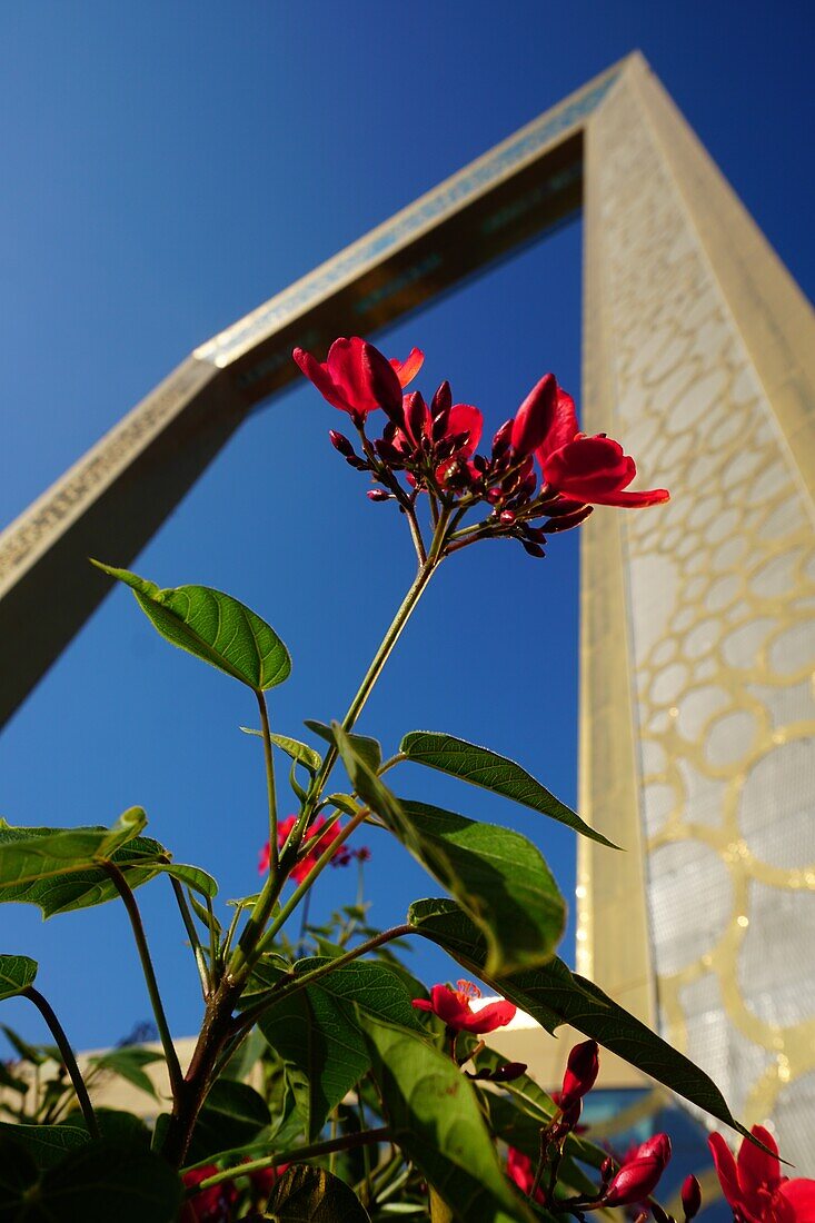Dubai Frame, Pflanzen, Blumen, Zaabel Park, Dubai, VAE, Vereinigte Arabische Emirate