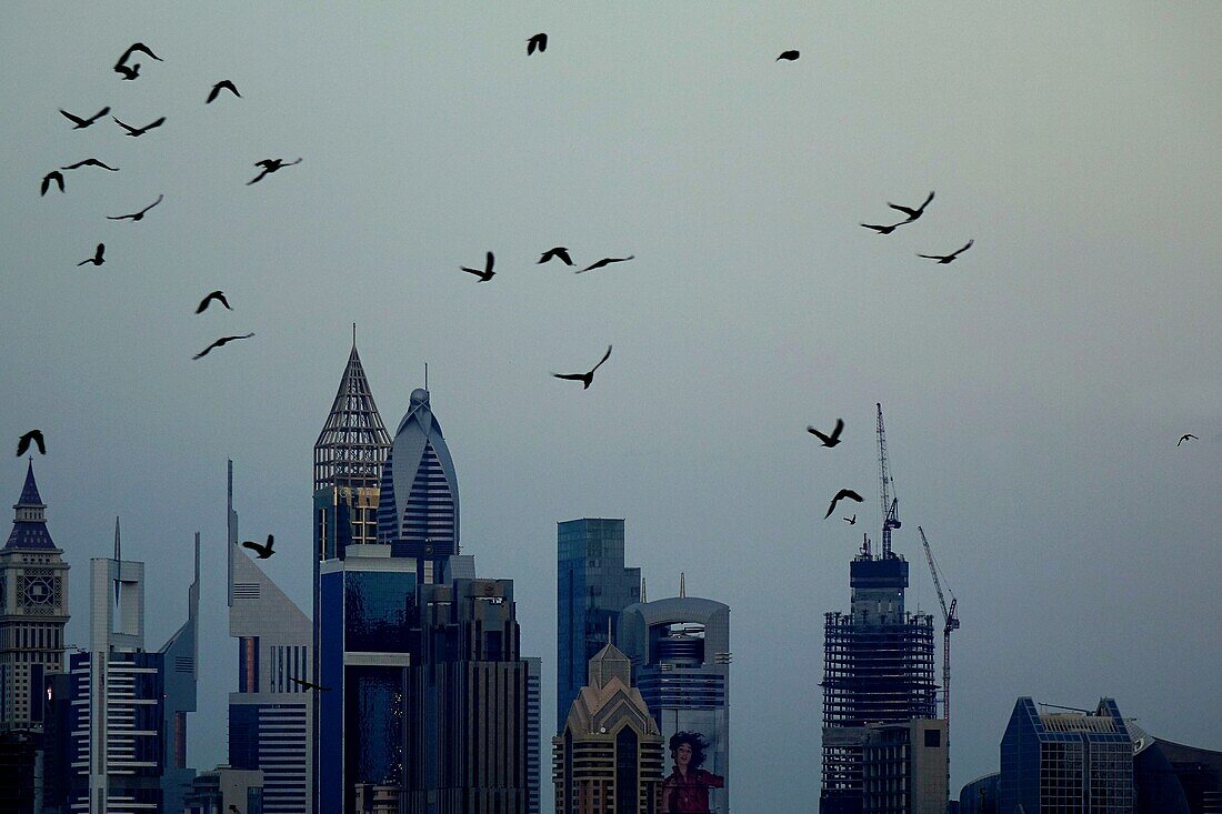 Vögel, Dämmerung, Sheikh Zayed Road, Hochhäuser, Dubai, VAE, Vereinigte Arabische Emirate