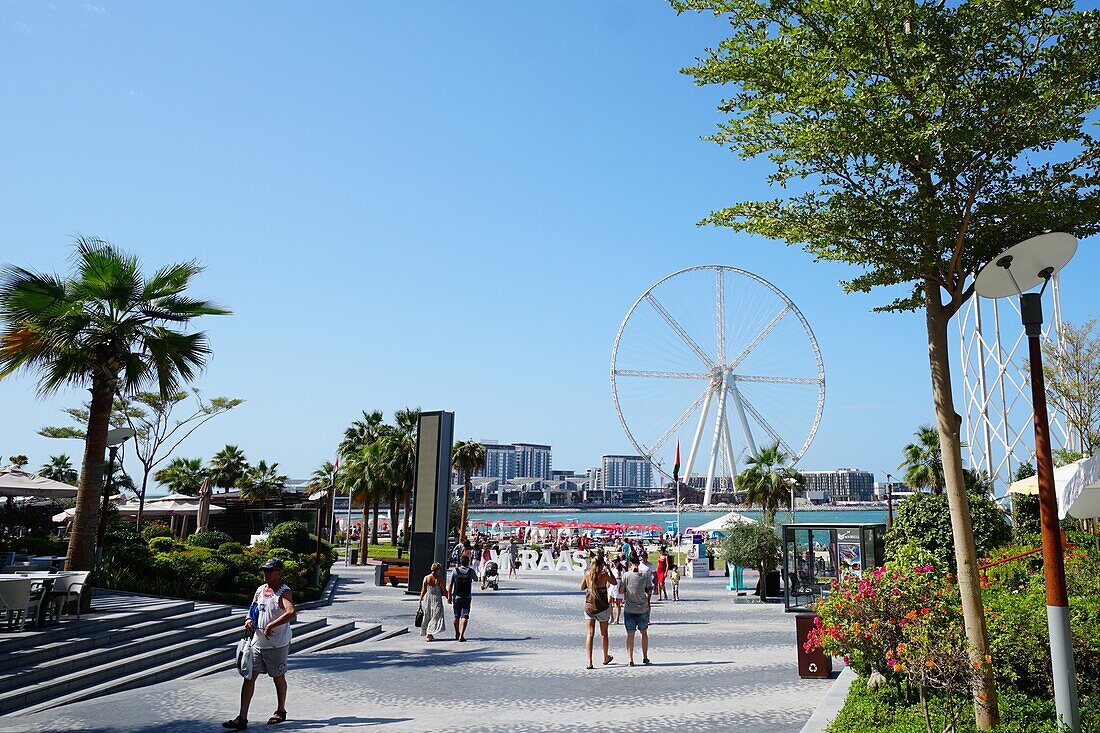 Ain Dubai, Ferris Wheel, 260 Meter high, Opening 2019, The Beach, Dubai Marina, Dubai, UAE, United Arab Emirates