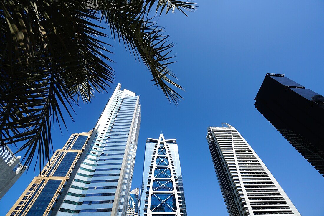 Palm, Architecture, Skyscraper, Dubai Marina, Dubai, UAE, United Arab Emirates