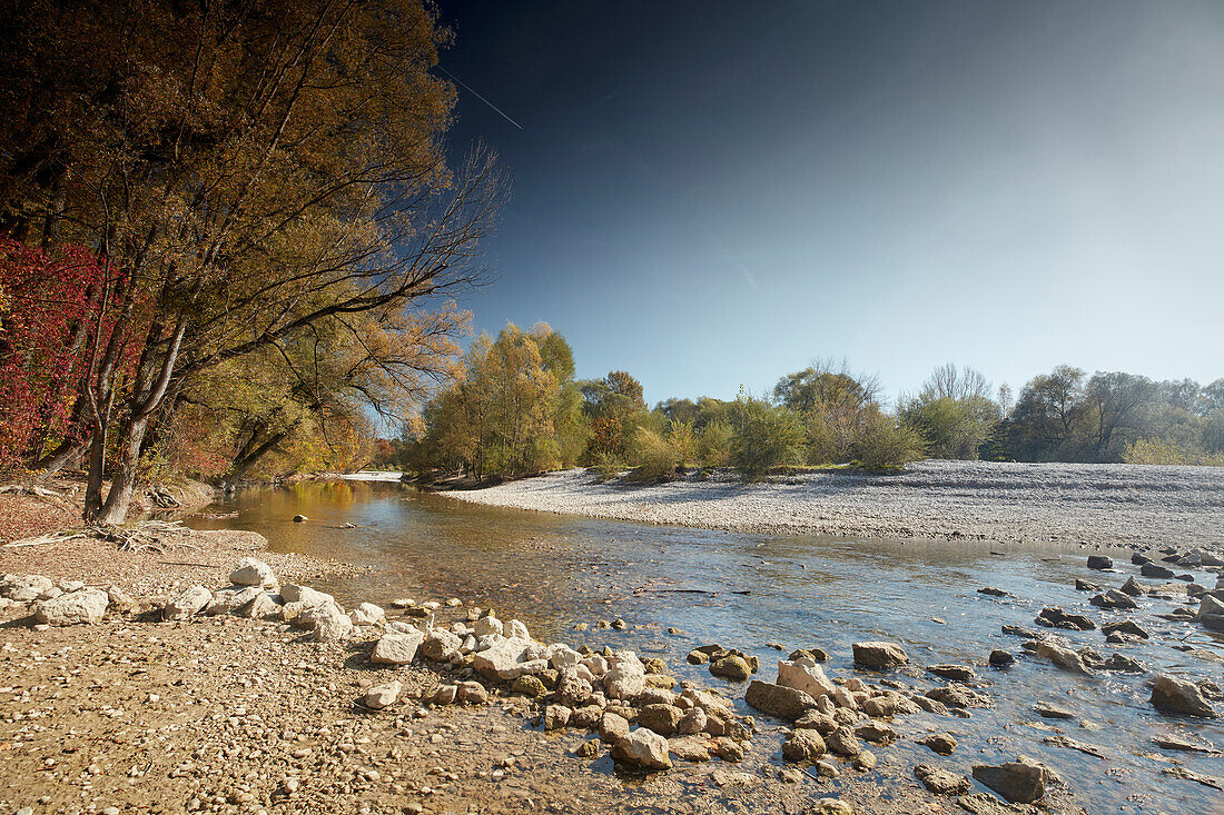 Bayrisch Kanada, Isartal bei Hinterriß, Isar, Bayern, Deutschland