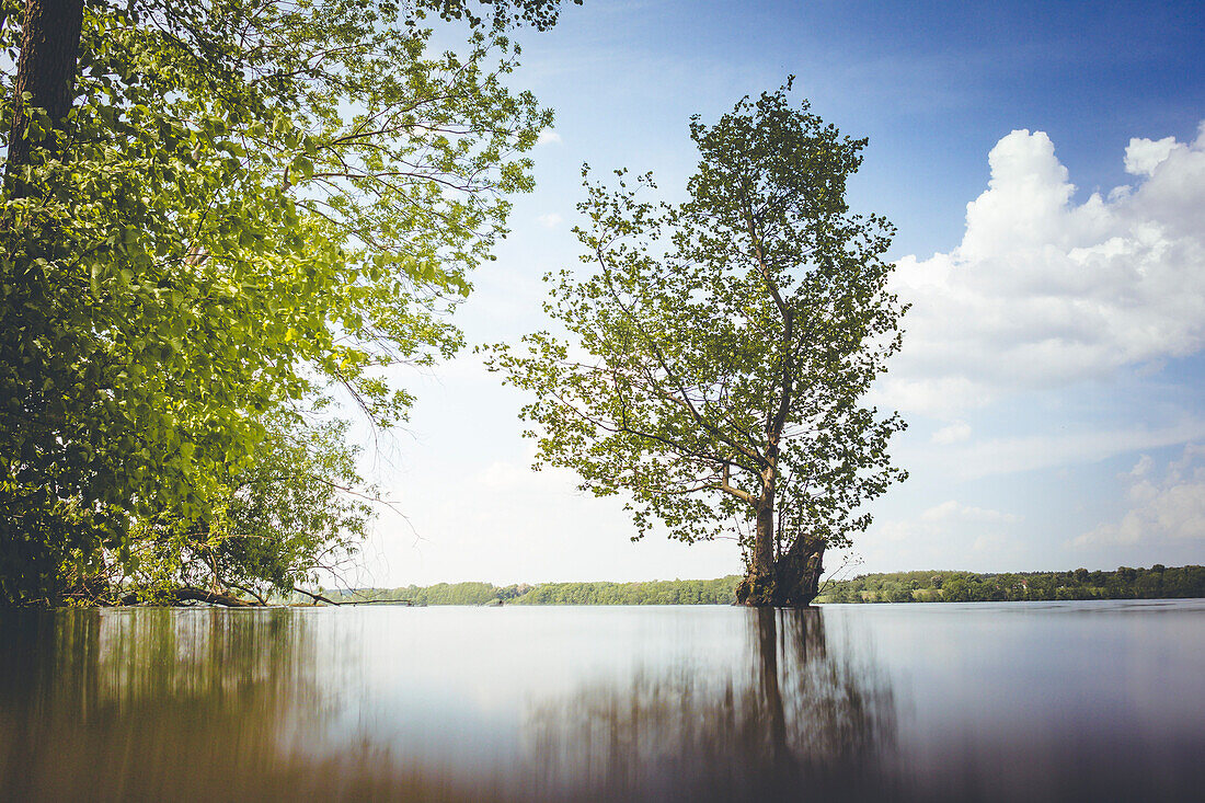 Sommerliche Seenlandschaft aus der Froschperspektive in Mecklenburg-Vorpommern