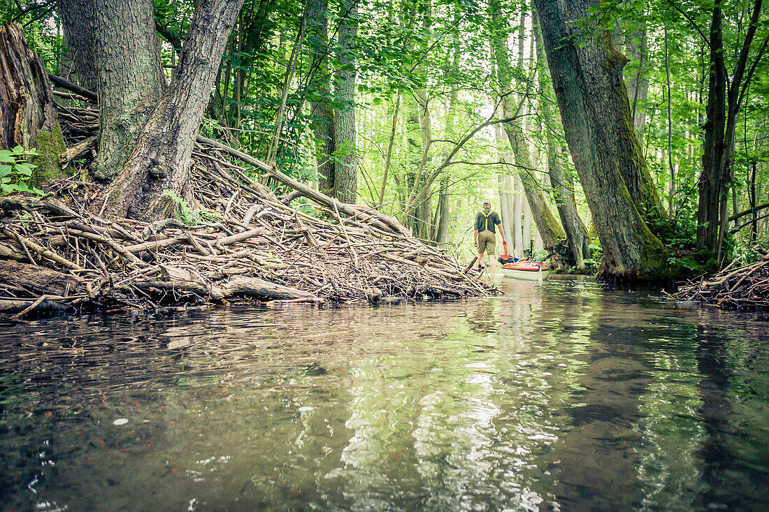 Kayaking tour through the narrow rivers of the Feldberger Seenlandschaft