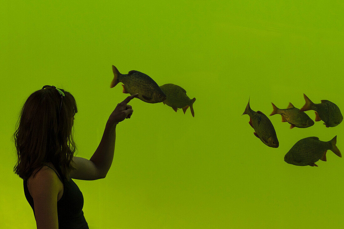 Frau steht vor Aquarium mit einheimischen Fischen im Tierpark von Güstrow