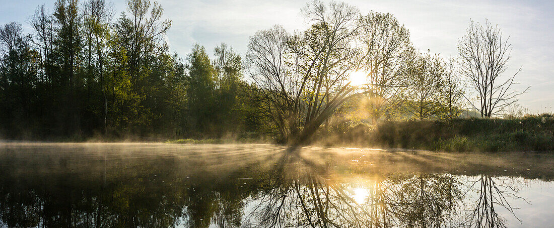 Morgennebel über den Flüssen des Spreewaldes während des Sonnenaufganges