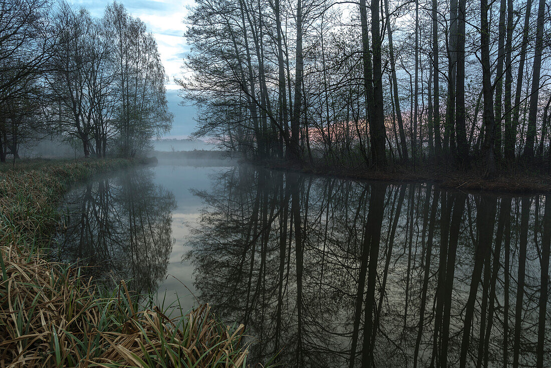 River landscape in the Spreewald with rising mist at dawn