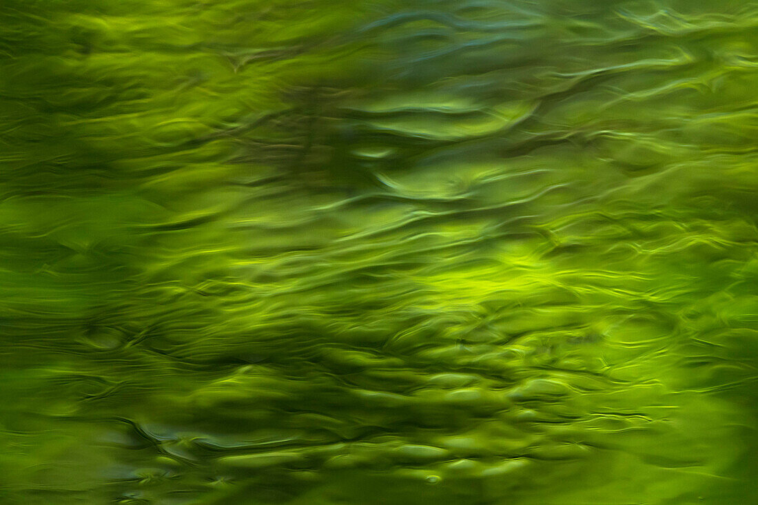 Dynamics of the water and reflections in the rivers of the Spreewald