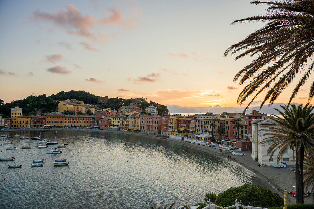 Baia del Silenzio at sunset, Sestri Levante, province Genoa, Riveria di Levante, Liguria, Italy