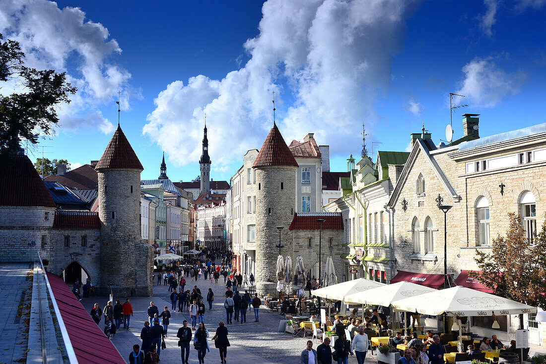 am Viru in der unteren Altstadt, Tallinn, Estland