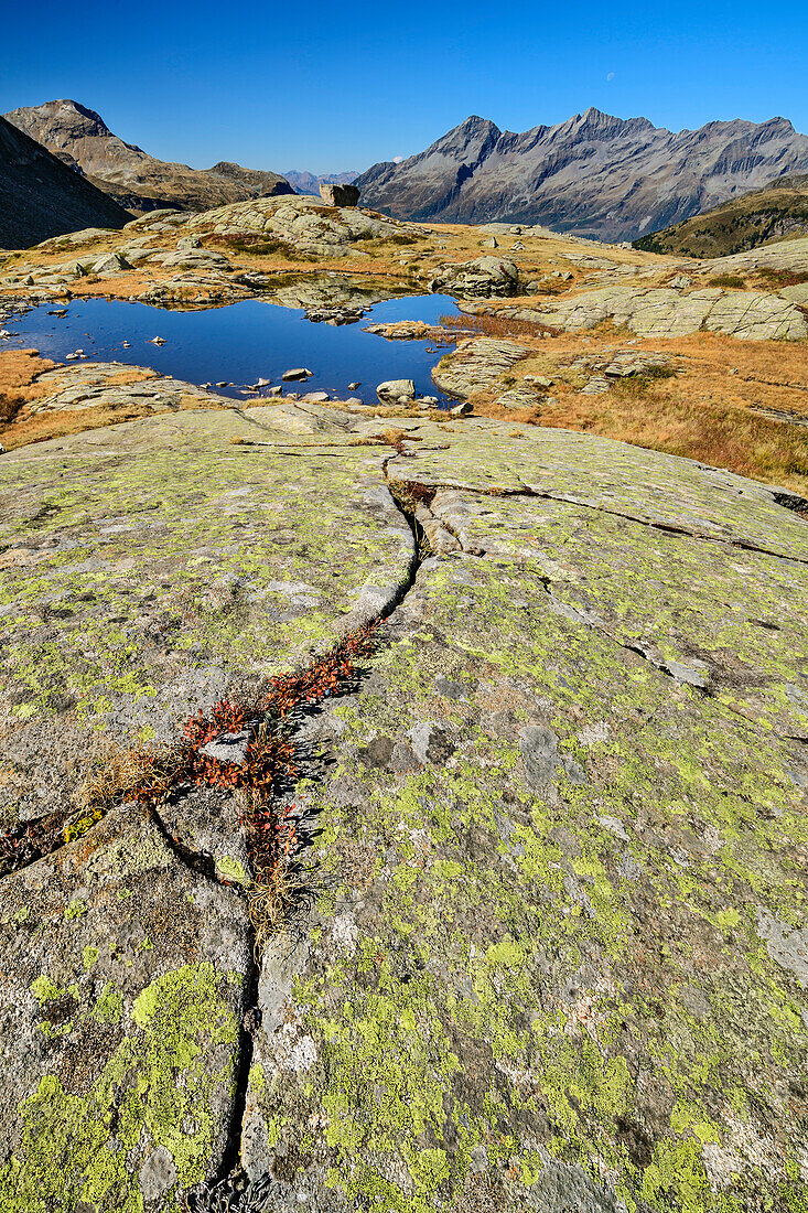 Felsplatte mit See, Großer Moosstock und Durreck im Hintergrund, Reinbachtal, Rieserfernergruppe, Südtirol, Italien