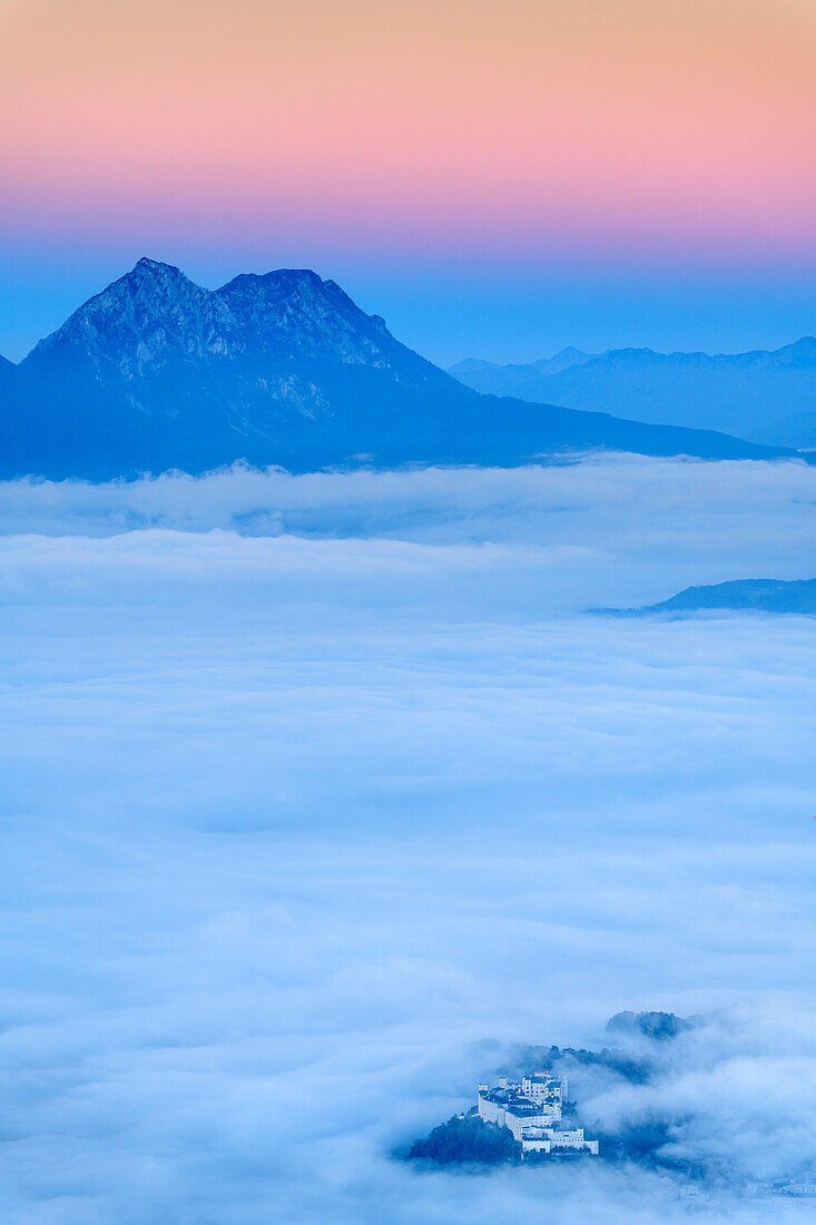 Hohensalzburg Fortress rising above sea of fog in valley of Salzach, Hochstaufen in background, from Gaisberg, Salzkammergut, Salzburg, Austria