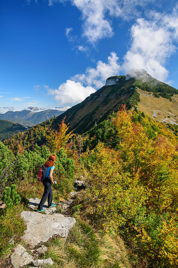 Woman hiking looking towards Schmittenstein, from Schlenken, Salzkammergut, Salzburg, Austria