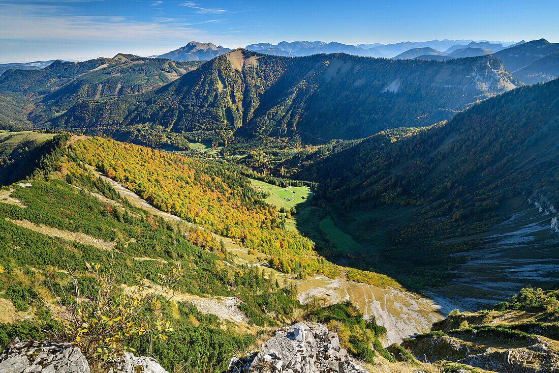 View from Regenspitz to forest in autumn colours and Koenigsberger Horn, from Regenspitz, Salzkammergut, Salzburg, Austria