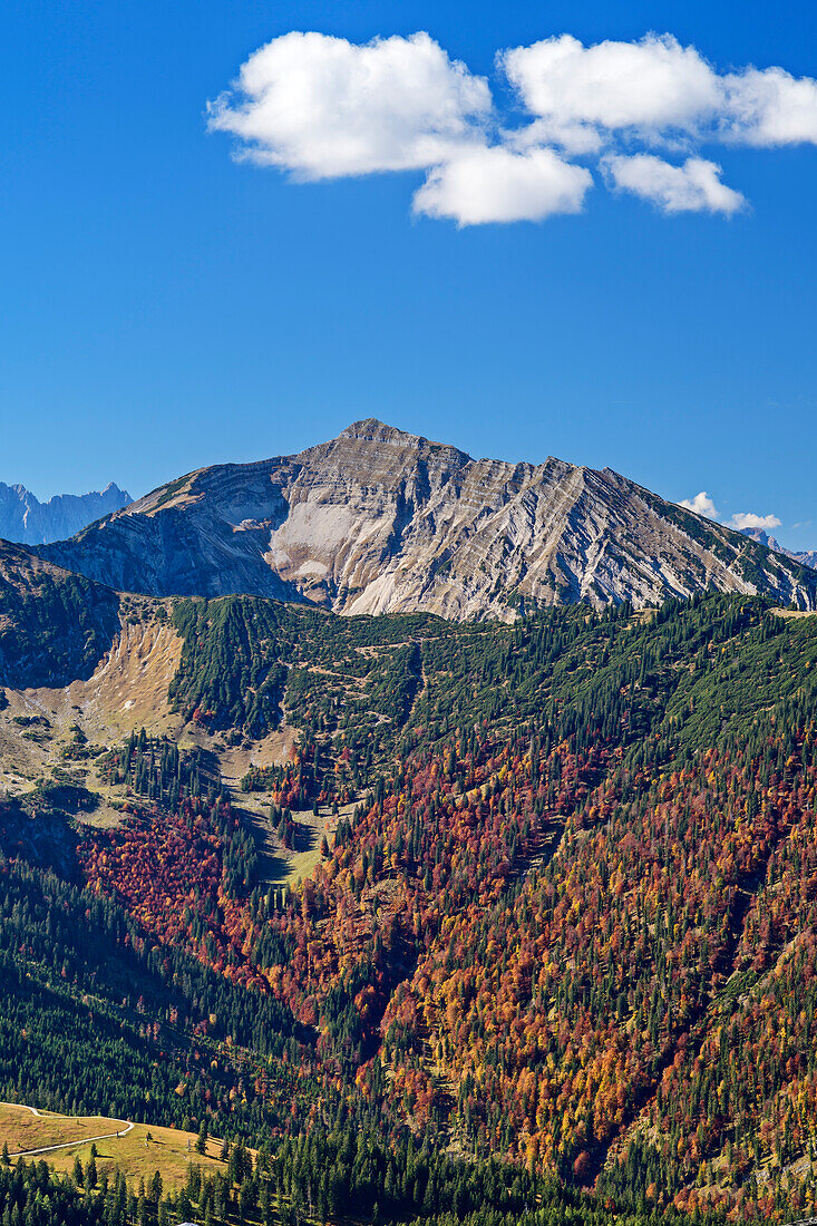 Schafreiter mit herbstlich verfärbtem Wald, vom Demeljoch, Karwendel, Oberbayern, Bayern, Deutschland