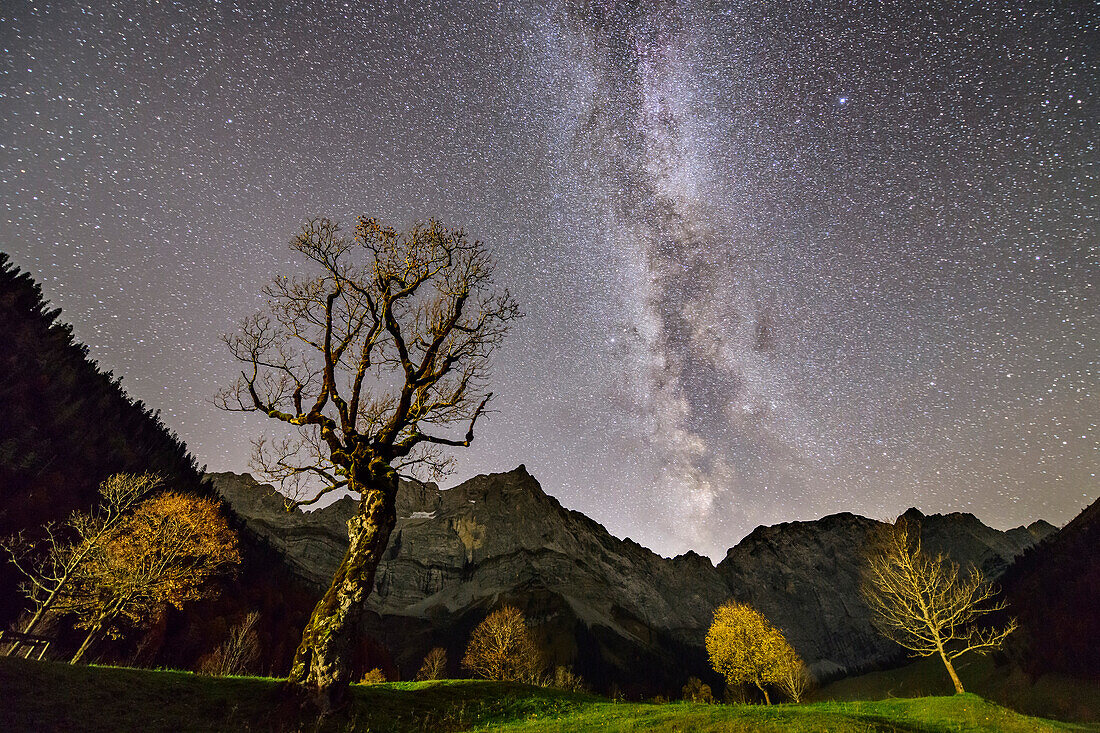 Nachthimmel mit Milchstraße über Ahorn und Karwendelgipfel, Großer Ahornboden, Eng, Naturpark Karwendel, Karwendel, Tirol, Österreich