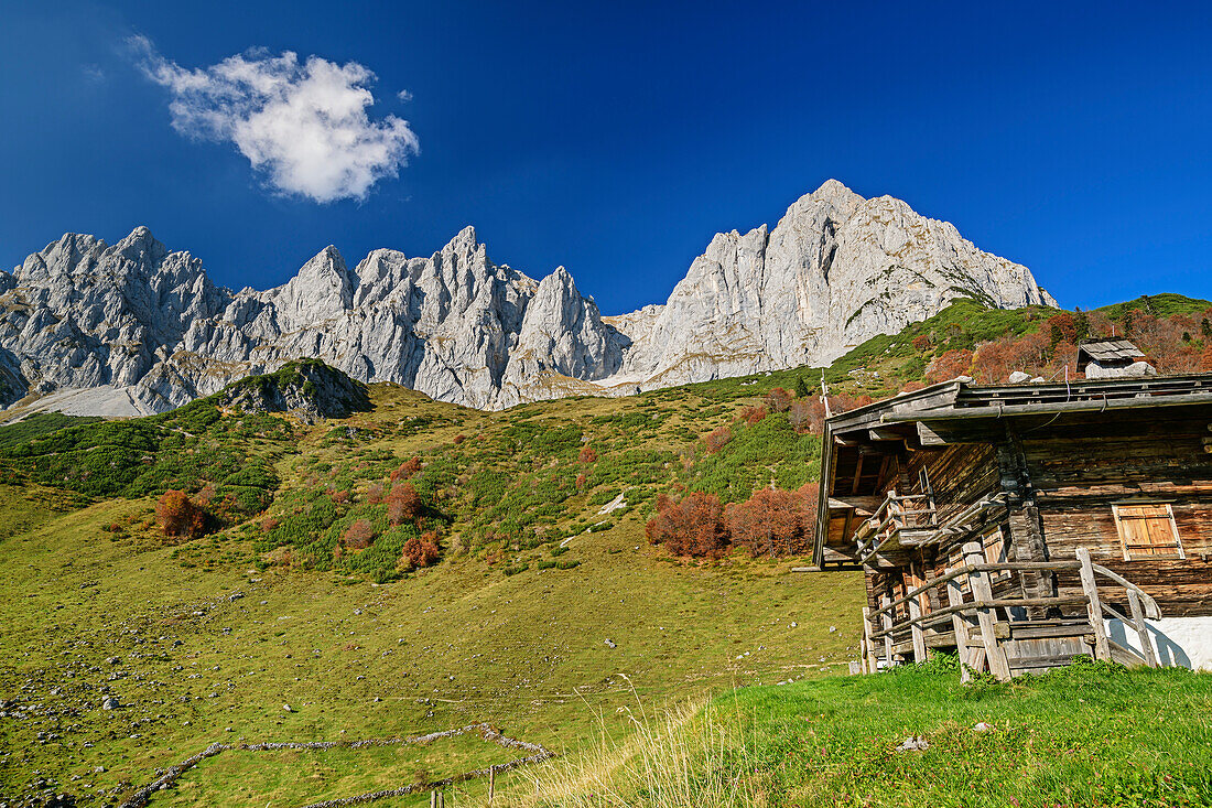 Alpine hut in front of rock walls of Kaiser, Wilder Kaiser, Kaiser range, Tyrol, Austria