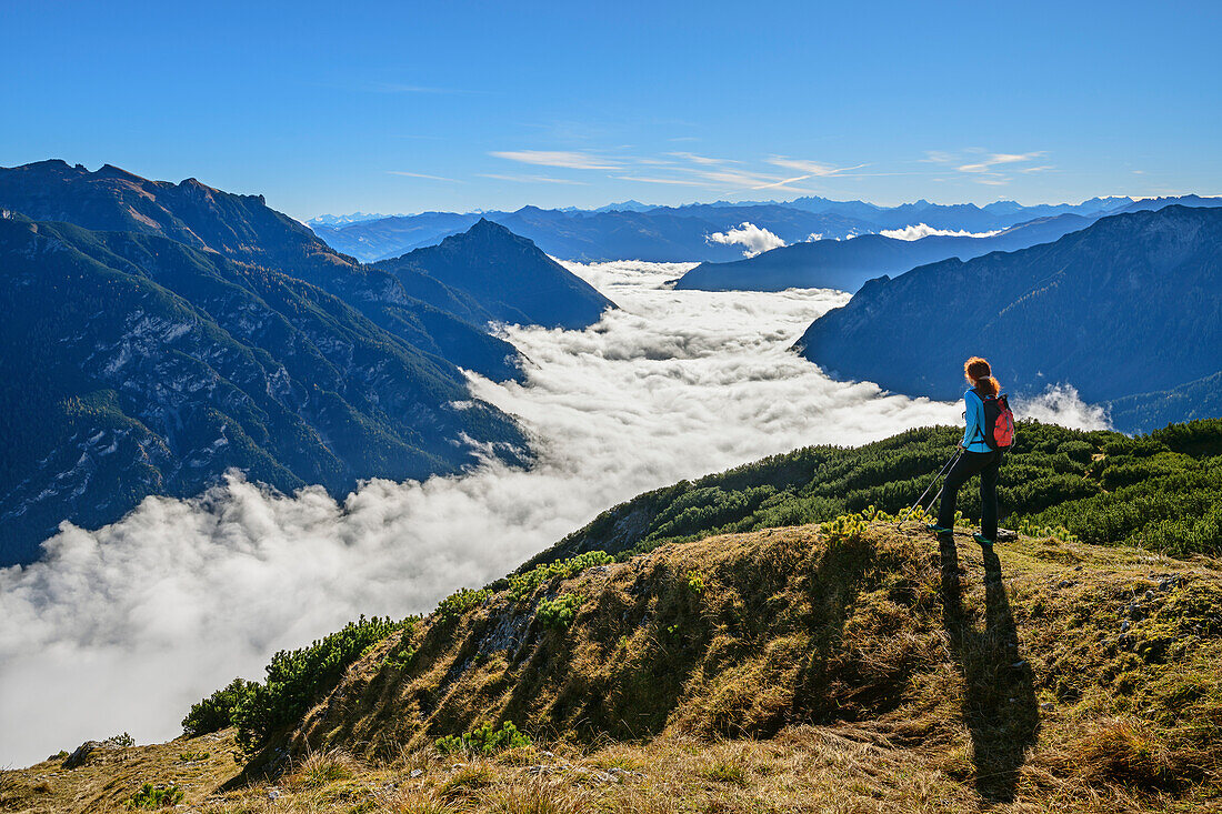 Woman hiking looking at mood of fog above lake Achensee, Rofan and Karwendel in background, Seebergspitze, Karwendel range, Tyrol, Austria