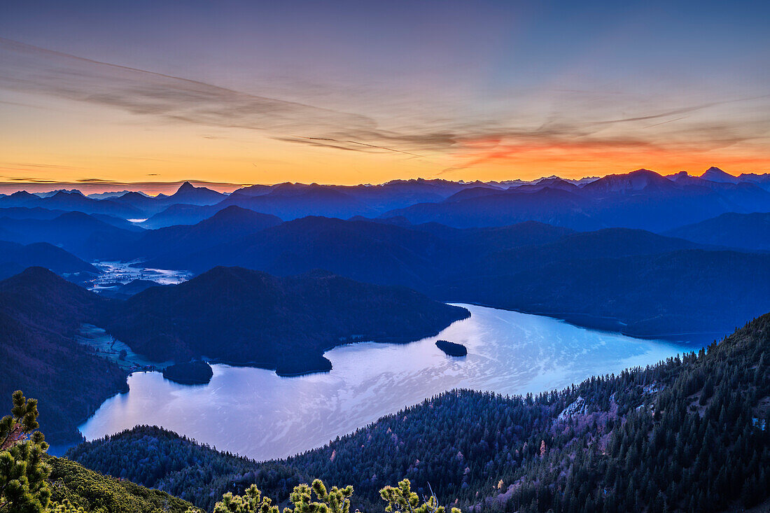 Morgenstimmung über Walchensee mit Rofan und Karwendel im Hintergrund, vom Herzogstand, Bayerische Alpen, Oberbayern, Bayern, Deutschland